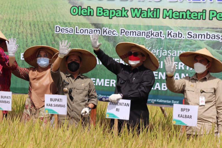 Wamentan Siap Fasilitasi Pertanian Sambas