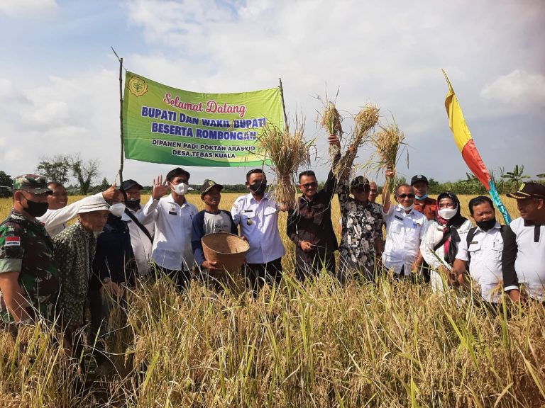 Wakil Bupati: Tahun 2022 Anggaran Petani Naik 100 Persen