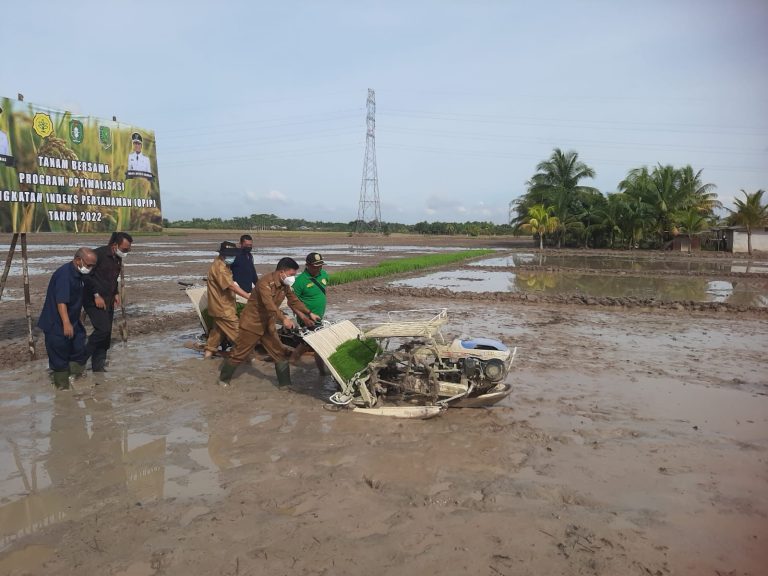 Pencanangan IP 400, Bupati Harap Produksi Padi Meningkat