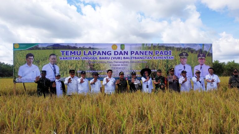 Panen Padi Varietas 36 dan 37, Bupati Satono Harapkan Desa Lonam Jadi Percontohan Desa Lain