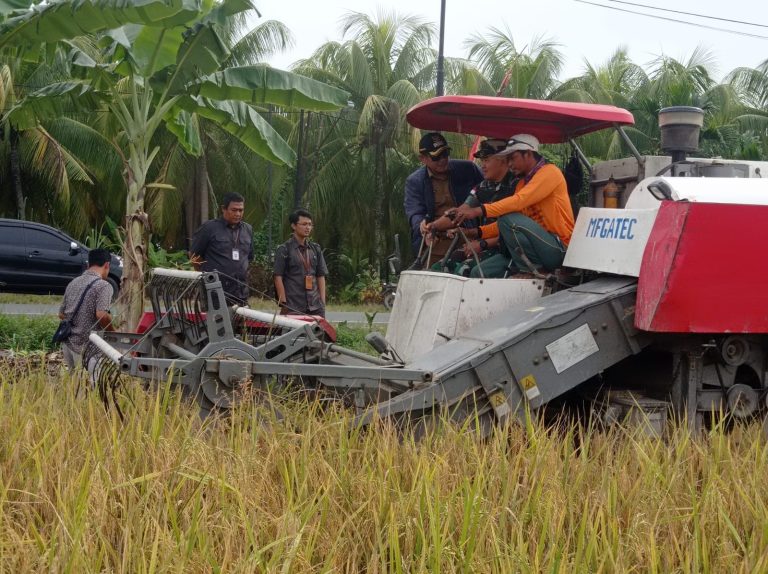 Wakil Bupati Fahrur Rofi Dorong Petani Gunakan Pupuk Organik