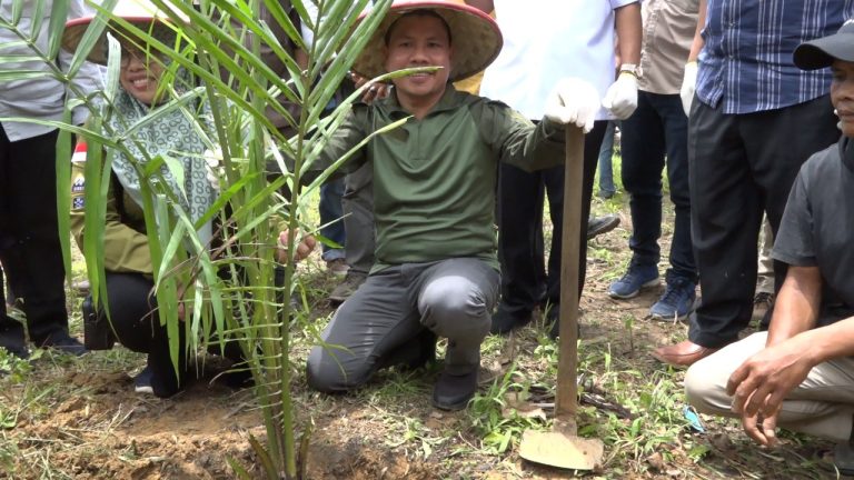 Bupati Satono Hadiri Peremajaan Kelapa Sawit Rakyat di Kecamatan Subah