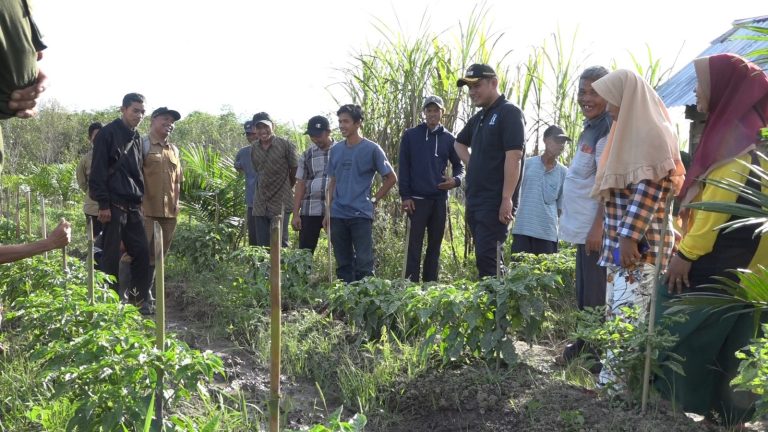 Silaturahmi Bersama Petani Millennial Desa Tri Gadu, Wabup Rofi Ajak Pemuda Sambas Terjun Ke Sektor Pertanian