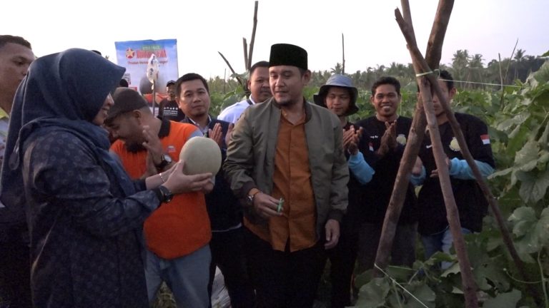 Wabup Rofi Panen Melon dan Buka Bersama Petani Melenial Kab. Sambas