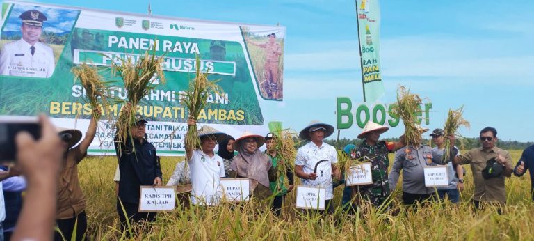 Panen Padi Tri Karya, Bupati Satono Ungkap Sambas Sebagai Suplai Terbesar Padi Kalbar