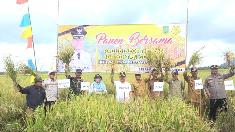 Bupati Satono Puji Poktan Salatiga Panen Padi Nutrizink 9.7 Ton Perhektar