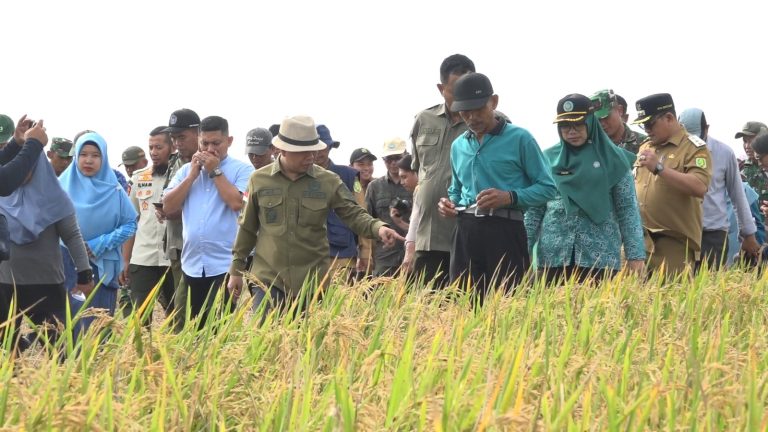Bupati Sambas Apresiasi  Brigade Pangan Atas Inisiasi Percepatan dalam Mendorong Swasembada Pangan Sambas