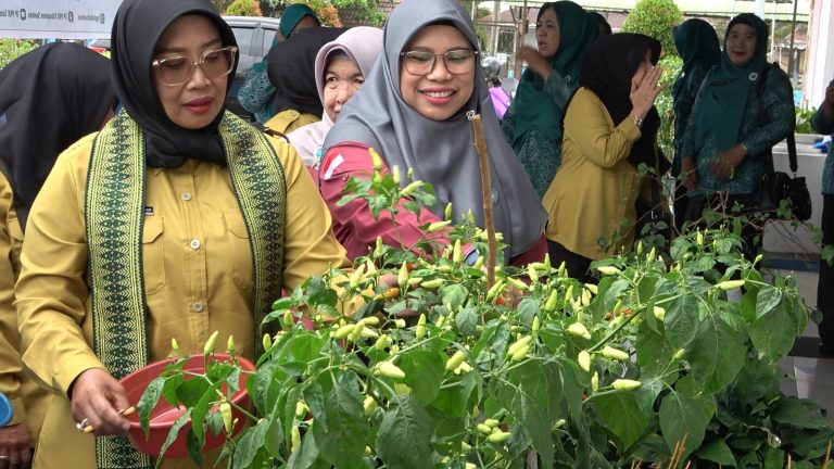 Ketua TP PKK Kalbar Lakukan Monev di Sambas, Dimulai dengan Panen Caba