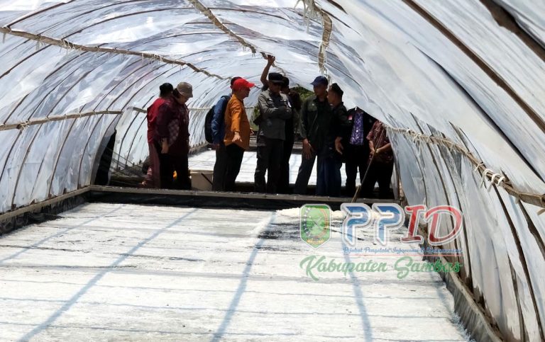 ​Kemenko Infrastruktur Tinjau Titik Strategis di Perbatasan Sambas