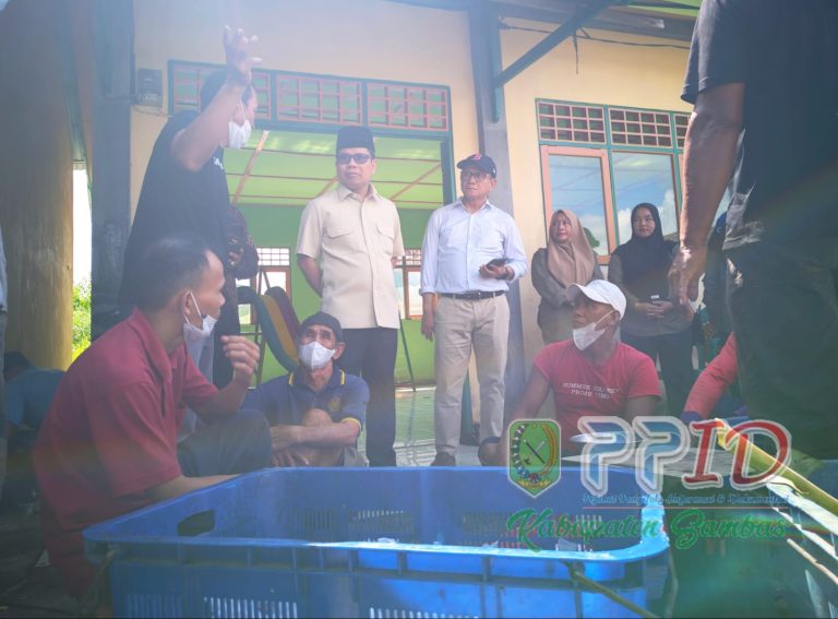Sambas Terbanyak Potong Hewan Kurban di Kalbar, Satono Serahkan Daging Kurban Presiden untuk Warga Mekar Sekuntum